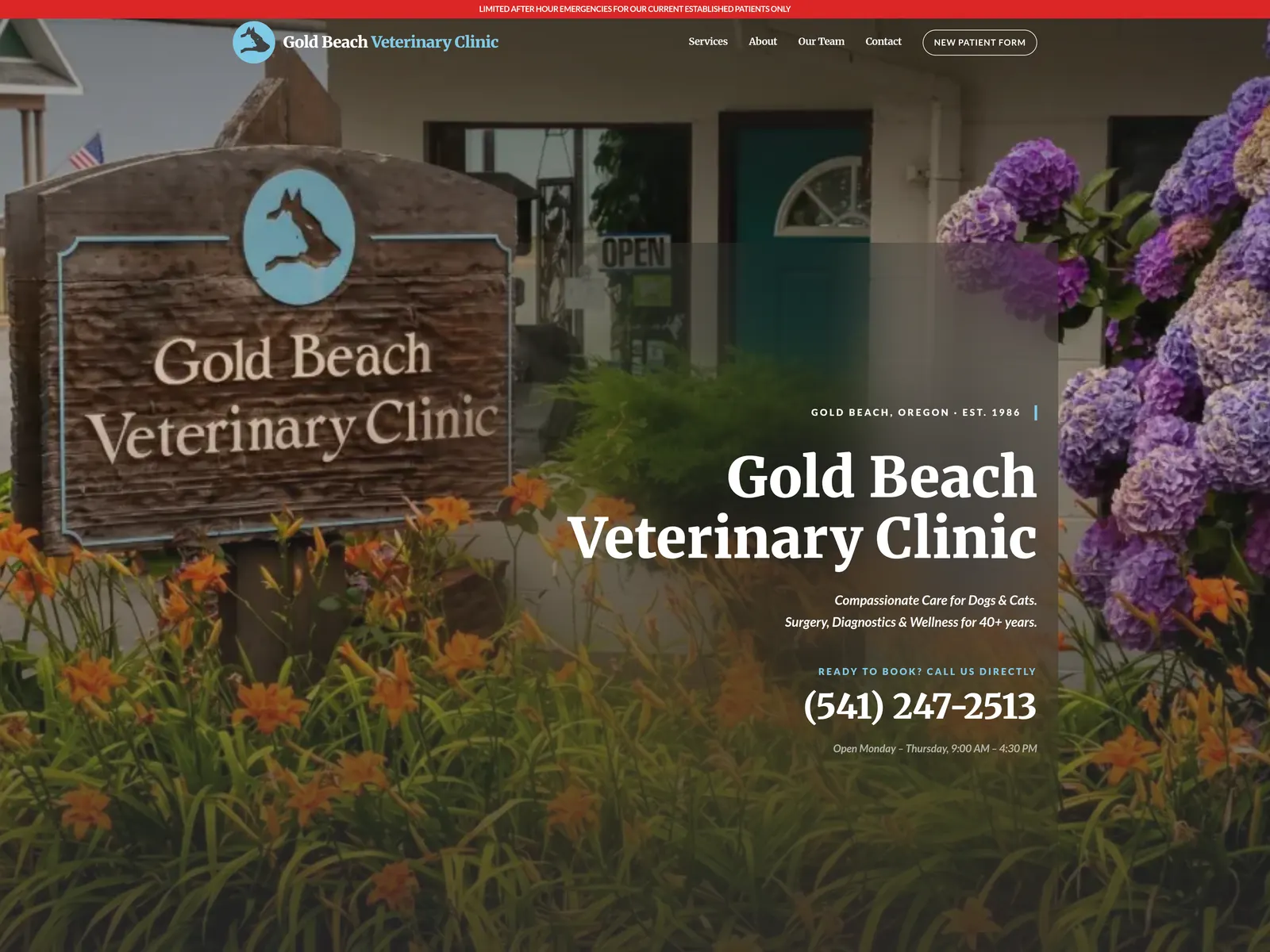 Gold Beach Vet Clinic website designed by Nathan
